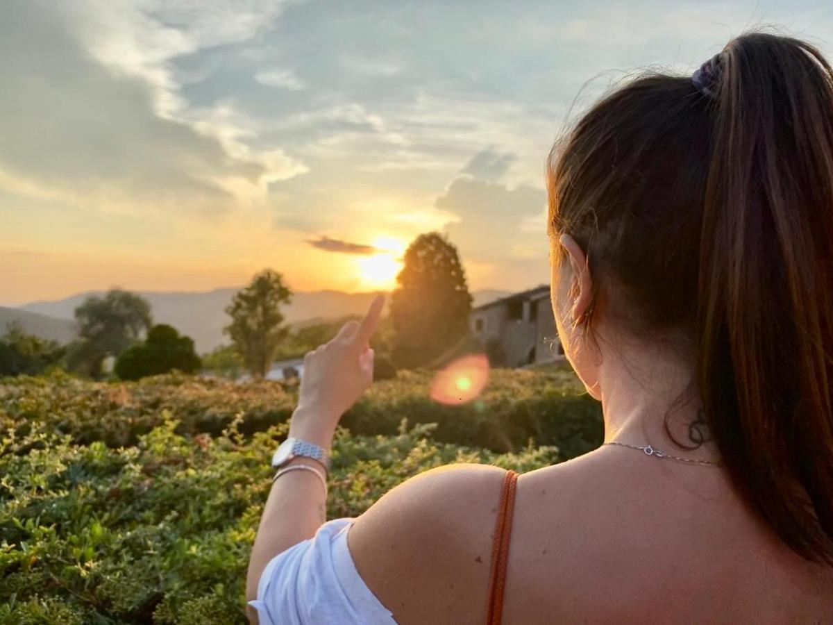 Agriturismo Le Case Асизи Екстериор снимка