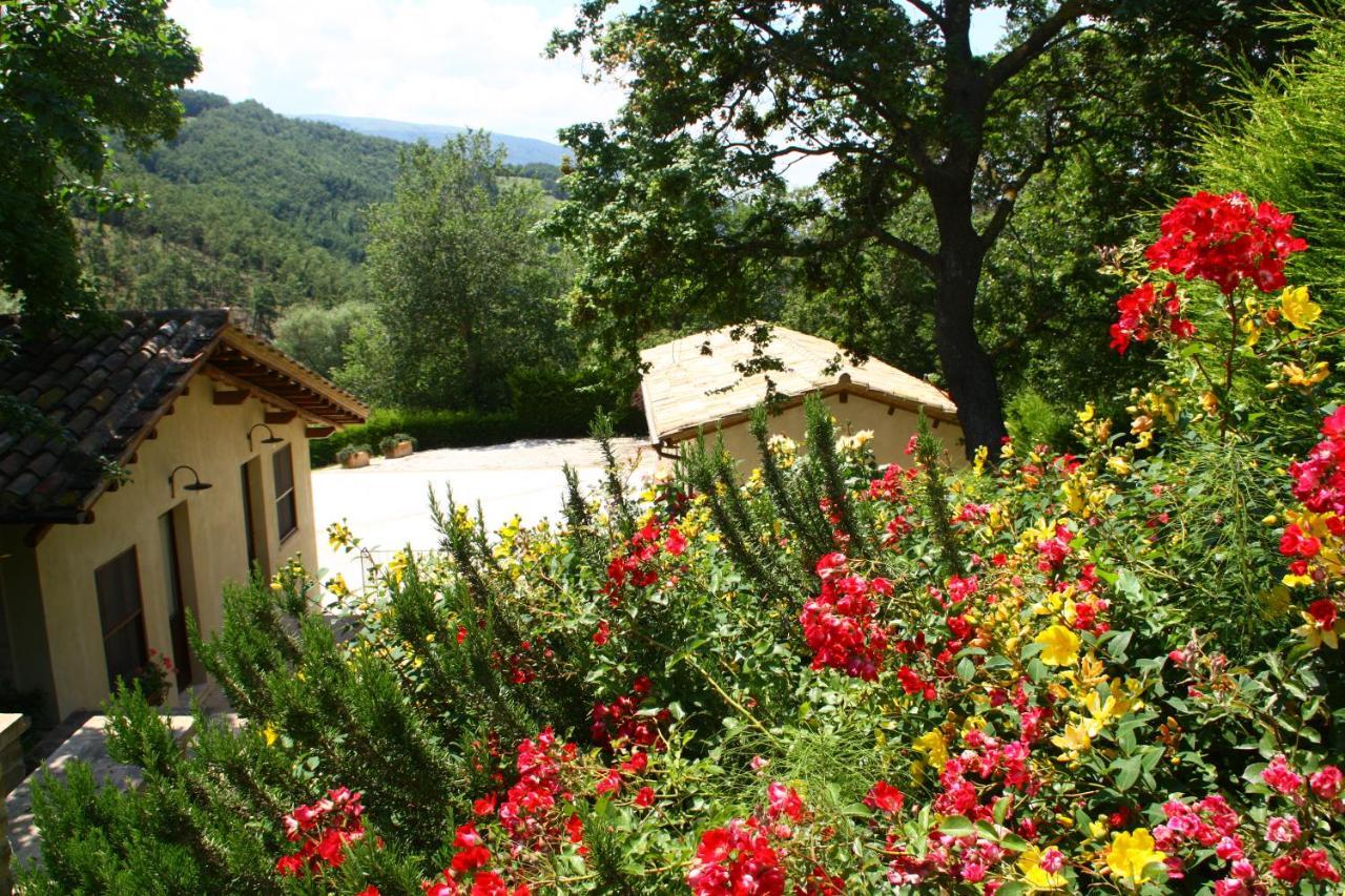 Agriturismo Le Case Асизи Екстериор снимка