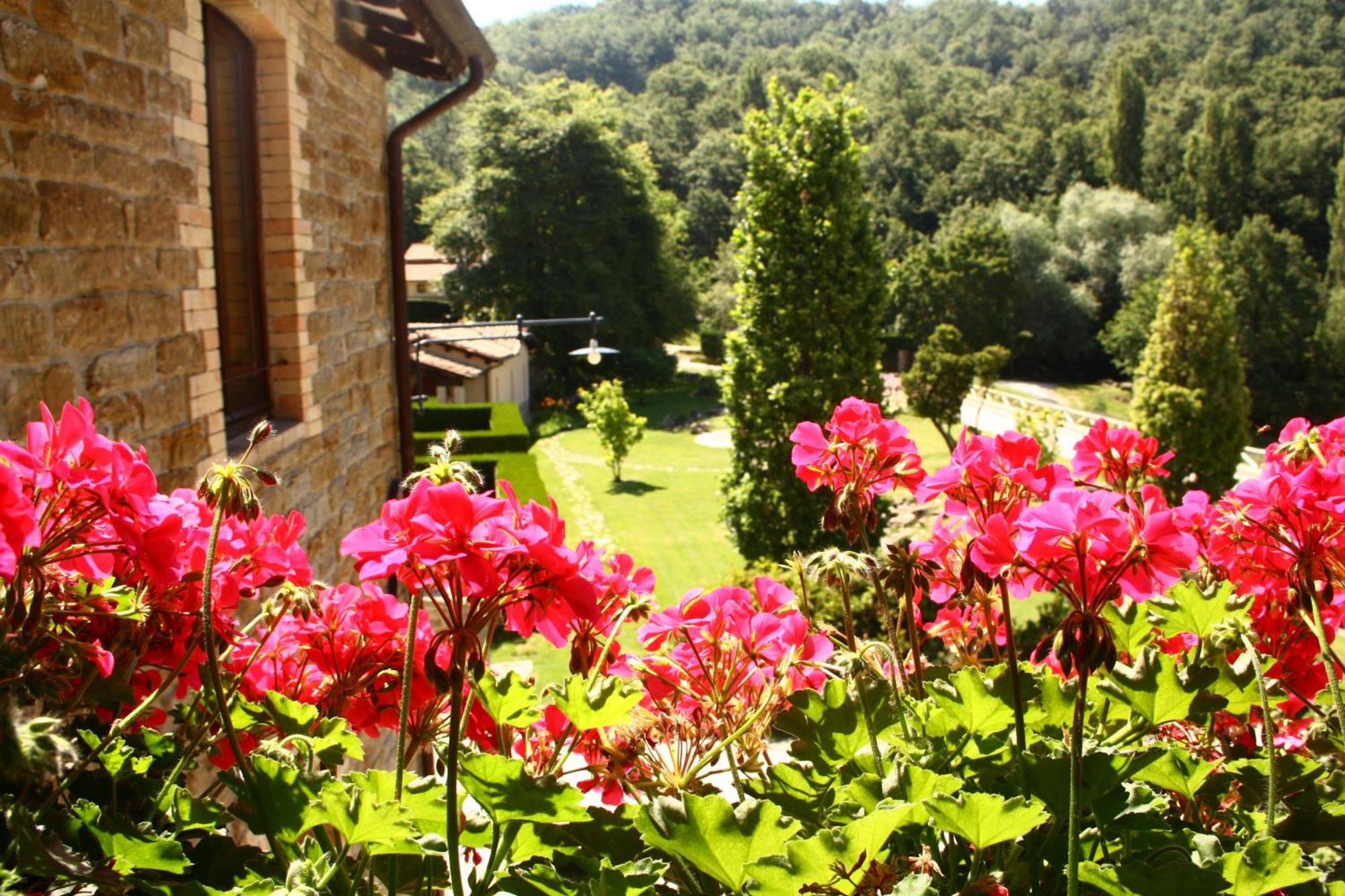 Agriturismo Le Case Асизи Екстериор снимка