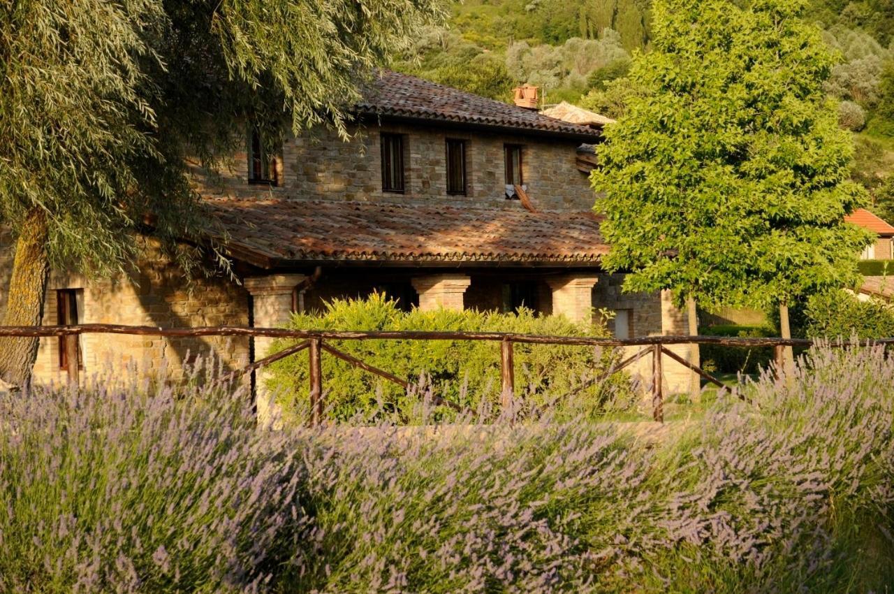 Agriturismo Le Case Асизи Екстериор снимка